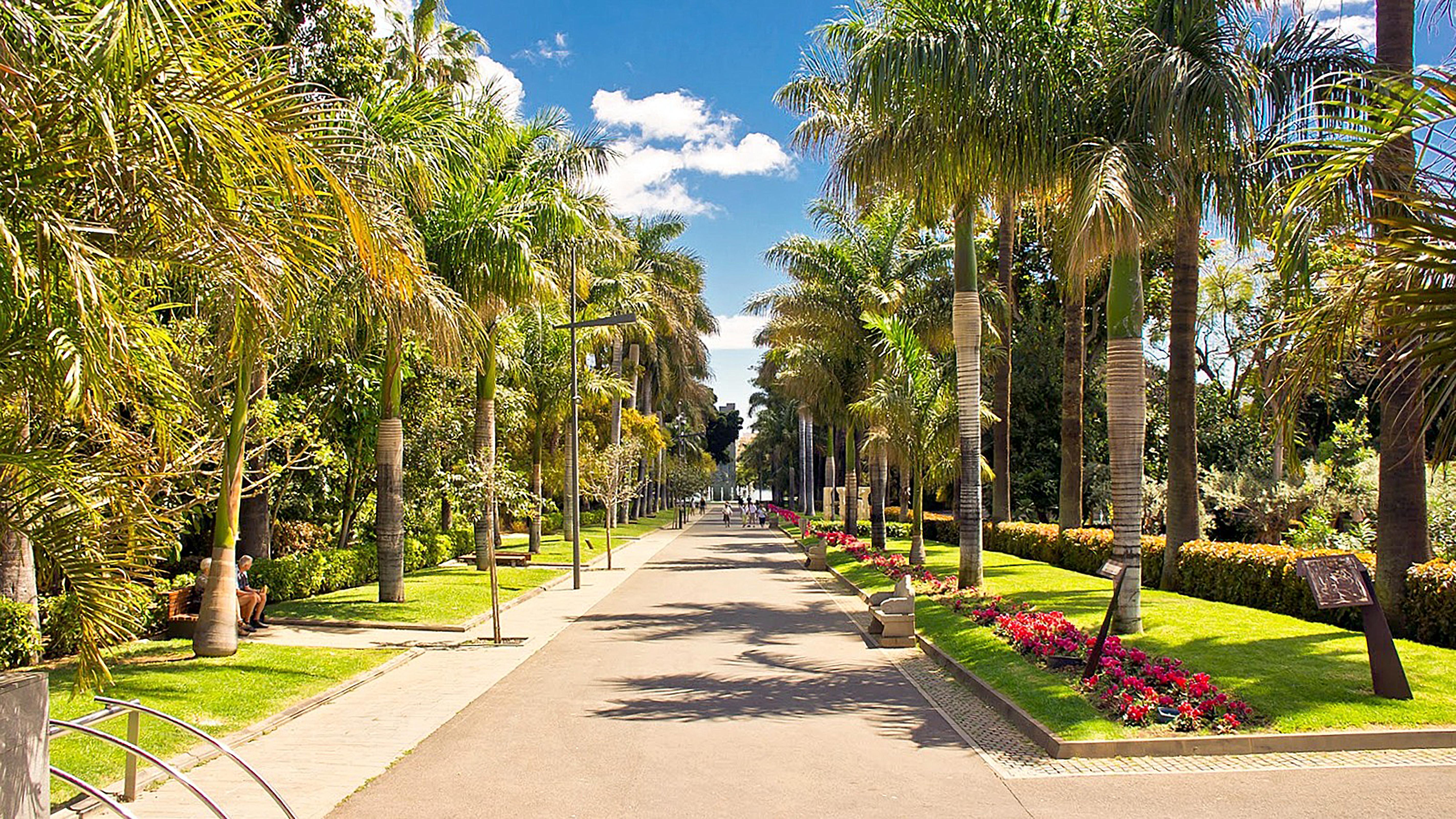 Hotel Adonis Capital Santa Cruz de Tenerife Dış mekan fotoğraf